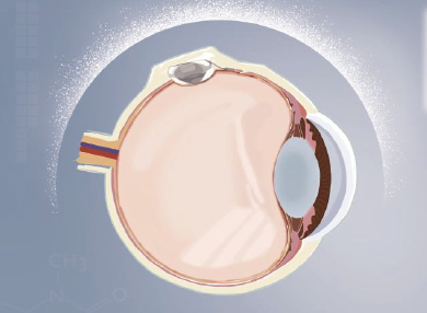 凯时尊龙人生就是博·Z6(中国)首页官网