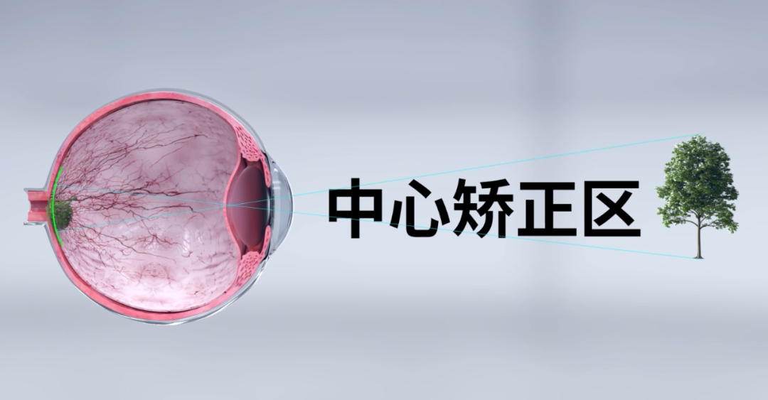 凯时尊龙人生就是博·Z6(中国)首页官网