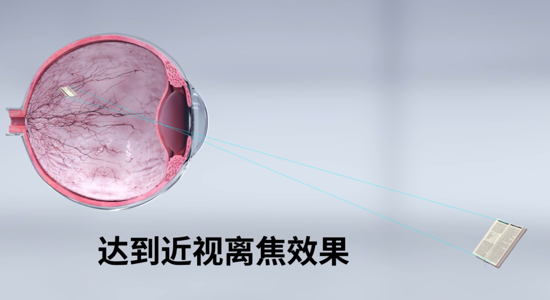 凯时尊龙人生就是博·Z6(中国)首页官网